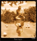 Narcisya Narcisya