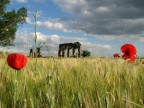campagna romana campagna romana