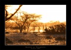 Namibia - Giochi al tramonto Namibia - Giochi al tramonto