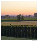 RosaAzzurro........romagnolo RosaAzzurro........romagnolo