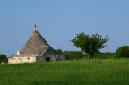 TRULLO TRULLO