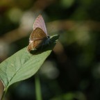 In partenza In partenza