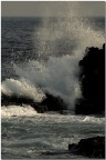 la veemenza del mare la veemenza del mare