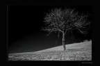 infra red