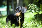 Lilly Lilly
