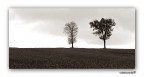 Le sentinelle dell'orizzonte (2006) Le sentinelle dell'orizzonte (2006)