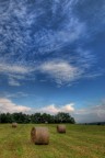 il cielo sui covoni il cielo sui covoni