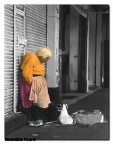 I colori della poverta' I colori della poverta'