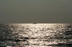pescatori pescatori