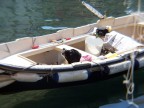 Gita in barca Gita in barca