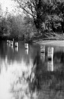 Riflessioni in fila Riflessioni in fila