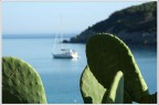 All'isola d'Elba (fetovaia) non ho saputo resistere a questi colori ed al bel paesaggio e ... non sono stato l'unico