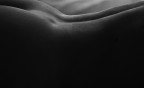 Curve Curve