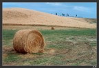 variante di ''sotto la collina''