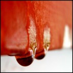 you make the water warm you make the water warm