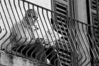 leggere tra le righe leggere tra le righe