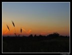 Tramonto senza Fili Tramonto senza Fili