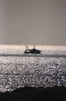 il rientro il rientro