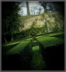 Do You really want to Escape from Wonderland? Do You really want to Escape from Wonderland?