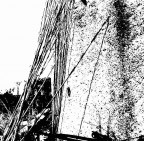 canne al sole canne al sole