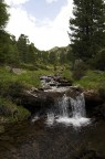 acqua pura di montagna.... acqua pura di montagna....