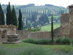 S. Antimo 2 - Toscana S. Antimo 2 - Toscana