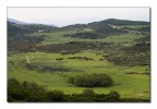 Pianoro in verde