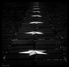 Stars Always Falling Down Stars Always Falling Down