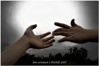 the contact the contact