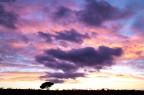 cielo di casa