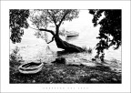 creature del lago creature del lago