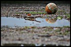 Giornata di pioggia, pensavo pessima per fare foto e alla fine mi i  presentato davanti questo pallone consunto e abbandonato... l'ho trovato... triste. Usati e abbandonati, ci si  sentiti tutti almeno una volta nella vita, no?
Magari sto solo cercando di dargli un senso anche lontanamente logico, per al momento quel pallone consumato mi piace.