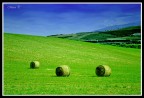 Collinetta Collinetta