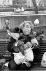 L'amore per i piccioni... L'amore per i piccioni...