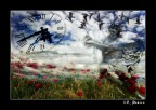 Il tempo vola Il tempo vola