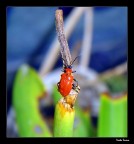 Ognuno ha i suoi Traguardi... Ognuno ha i suoi Traguardi...