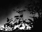 Titolo Immagine: NonSoloFoto-UMBRIA 15-17 Giugno #3