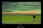 Castelluccio passeggiata di un amico (raduno Umbria) Castelluccio passeggiata di un amico (raduno Umbria)