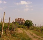 Magnifico castello immerso nei vigneti delle colline di Parma.