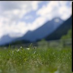 Prova zon Zenza Bornica pelicola colore.