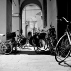 Pellicola Bianco e Nero MEdio formato