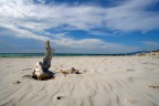 plage saleccia plage saleccia