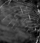 ...strutture... ...strutture...