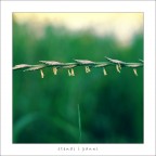 STENDI I PANNI! STENDI I PANNI!