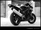 Yamaha R6 Yamaha R6