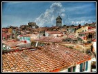 .:Isola d' Elba:. .:Isola d' Elba:.