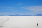 il salar si trova a 3700 metri sul livello del  mare ed  esteso per 10mila kilotri quadrati, una distesa di bianco immerso nel blu del cielo.