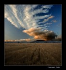 Campo di grano Campo di grano