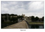 Avignone Avignone