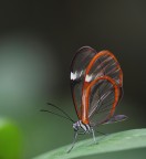 Una così l'avete mai vista? noo? nemmeno io... Una così l'avete mai vista? noo? nemmeno io...